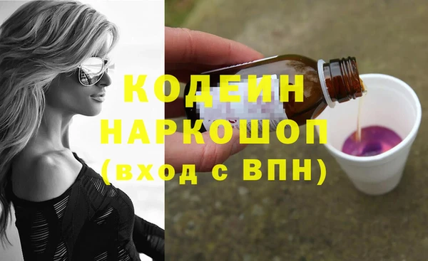 шишки Белоозёрский