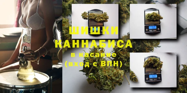 шишки Белоозёрский