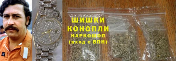 шишки Белоозёрский